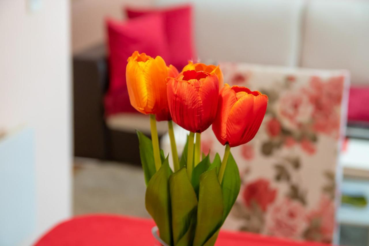 Butterfly Apartment Mostar Luaran gambar